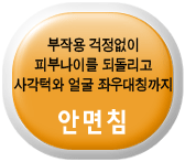 ̼Ҿȸħ